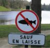 poisson interdit